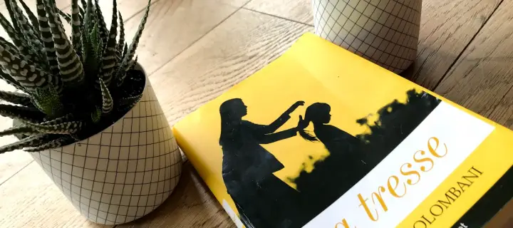La tresse de Laetitia Colombani  Un des plus beaux livres que j'ai lus