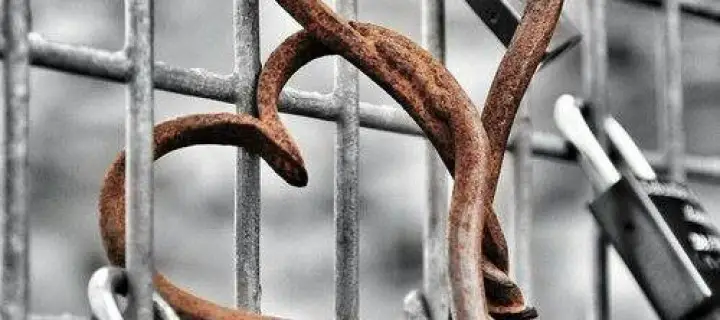 « L’épine amoureuse » Océanne