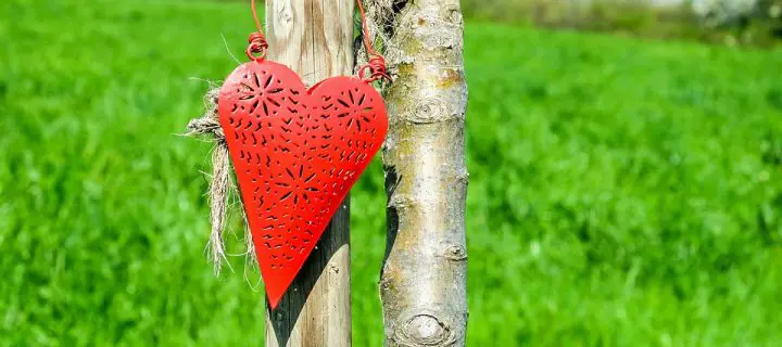 « A mon pauvre petit coeur » Poème de Lola