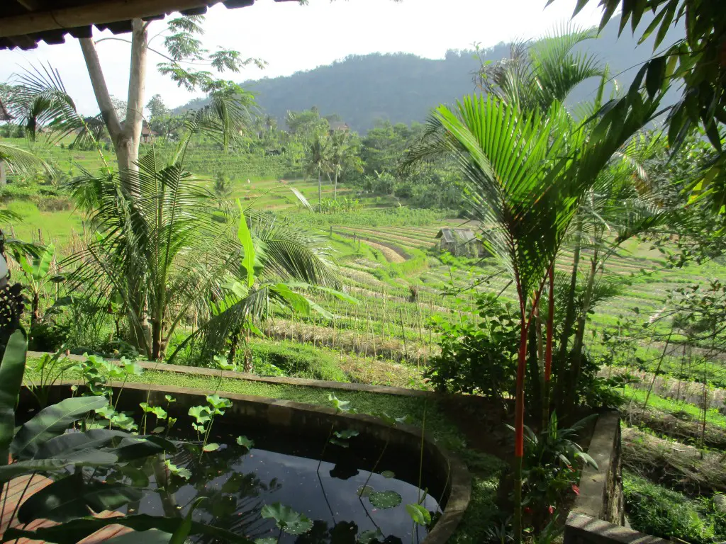 Que faire à Bali en 10 jours ? Les Visites incontournables Parler d
