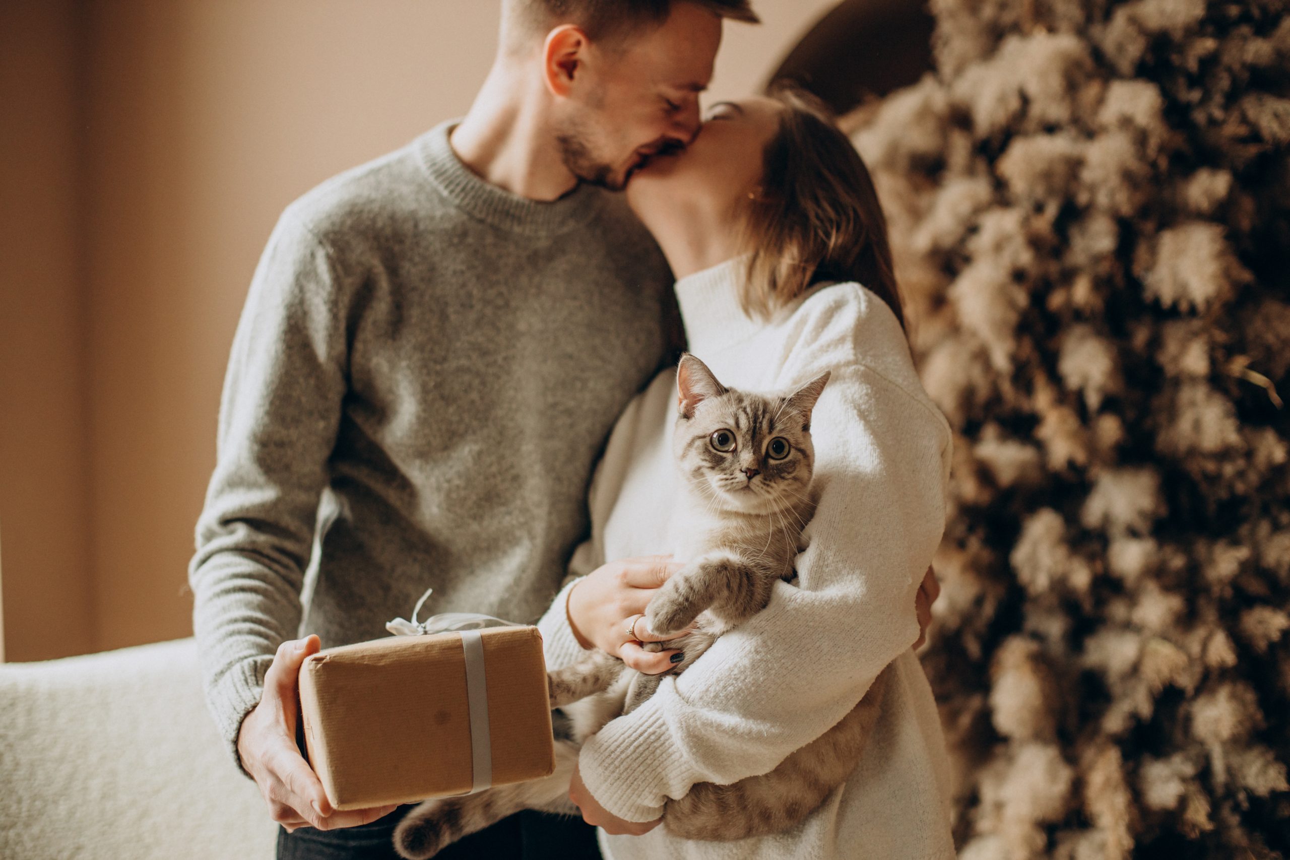couple amoureux avec sapin de noel cadeaux et chat