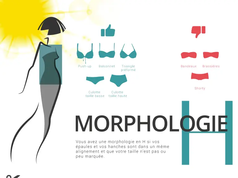 morphologie-h