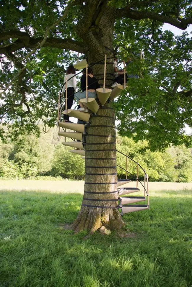 escalier pour monter aux arbres