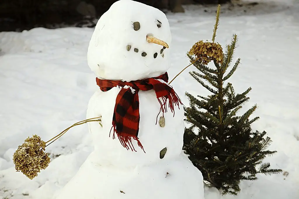 10 sorties à faire en couple en hiver