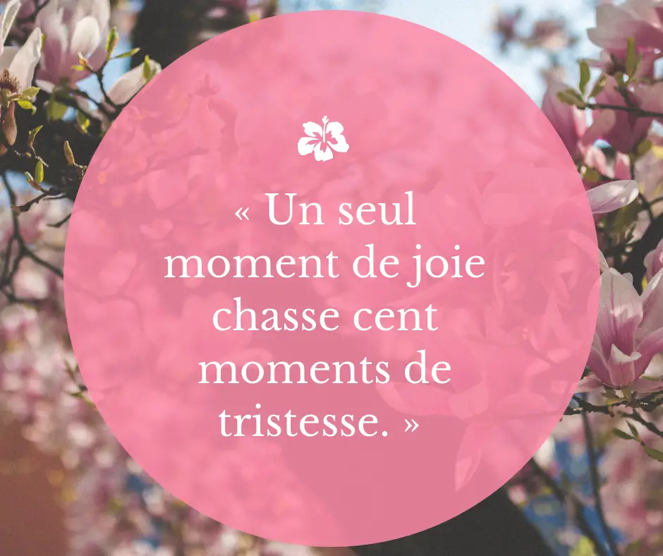 6 Jolies Citations Pour Surmonter Les Difficultes Et La Tristesse Parler D Amour