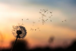 N’écoutez pas les autres, écoutez-vous : Par la Marquise des Anges