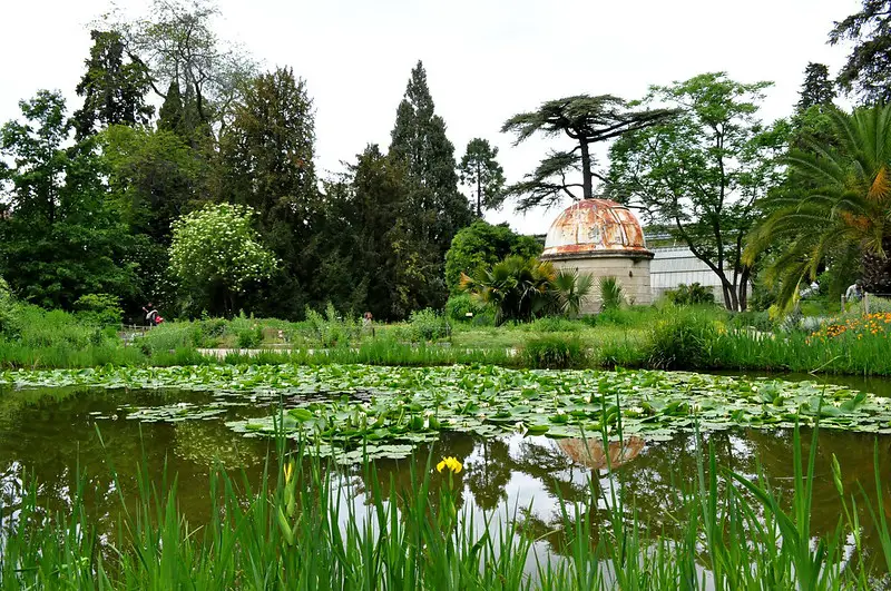 Activités à faire en couple à Montpellier : jardin des plantes