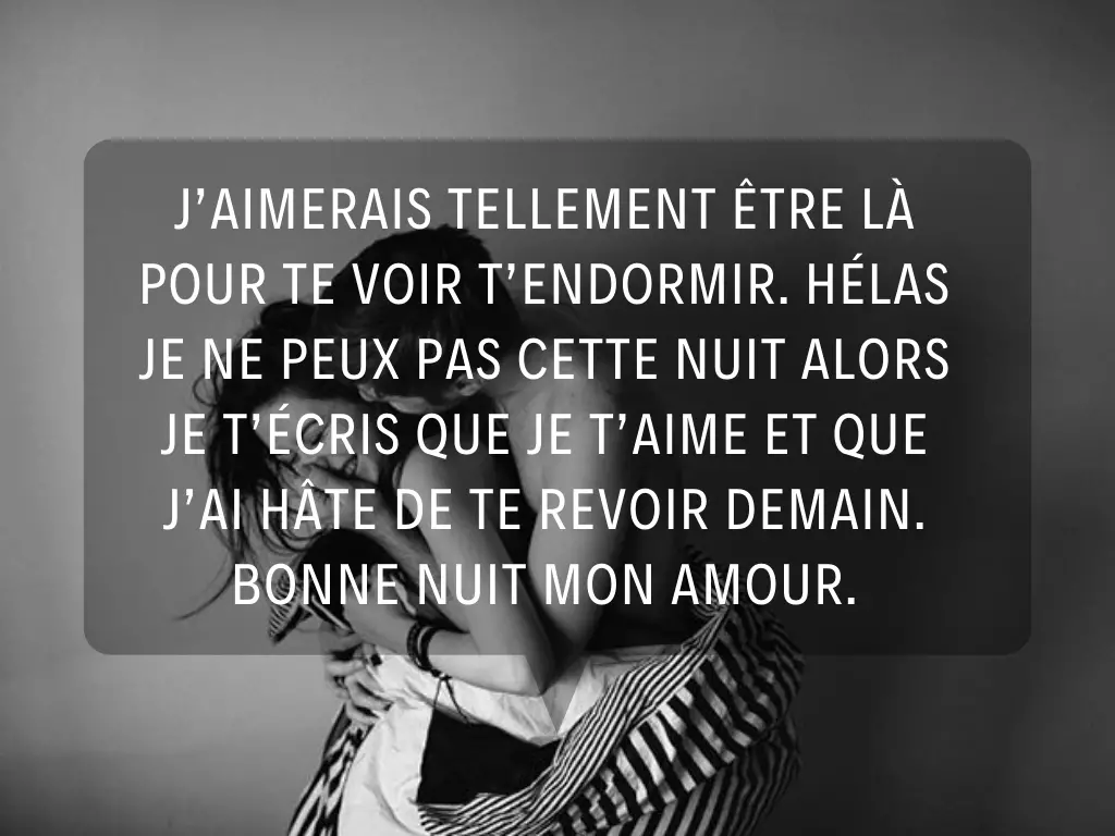 SMS bonne nuit mon amour je t'aime