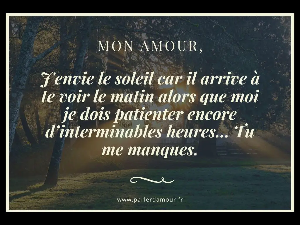 Bonjour mon amour