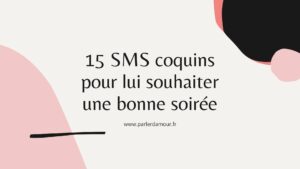 bonne soirée mon amour sms