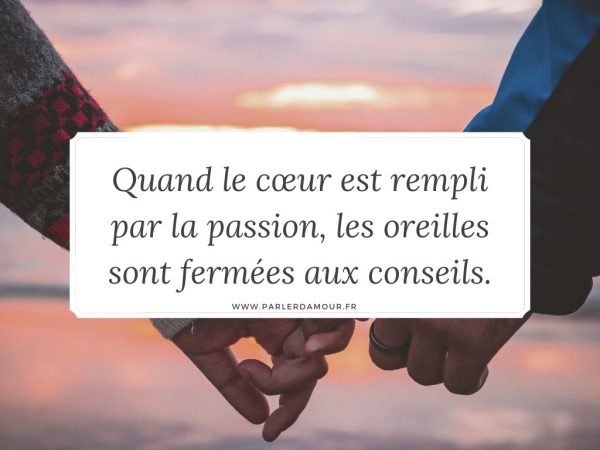 Proverbes amour : tous les plus beaux proverbes sur l'amour - Parler d ...