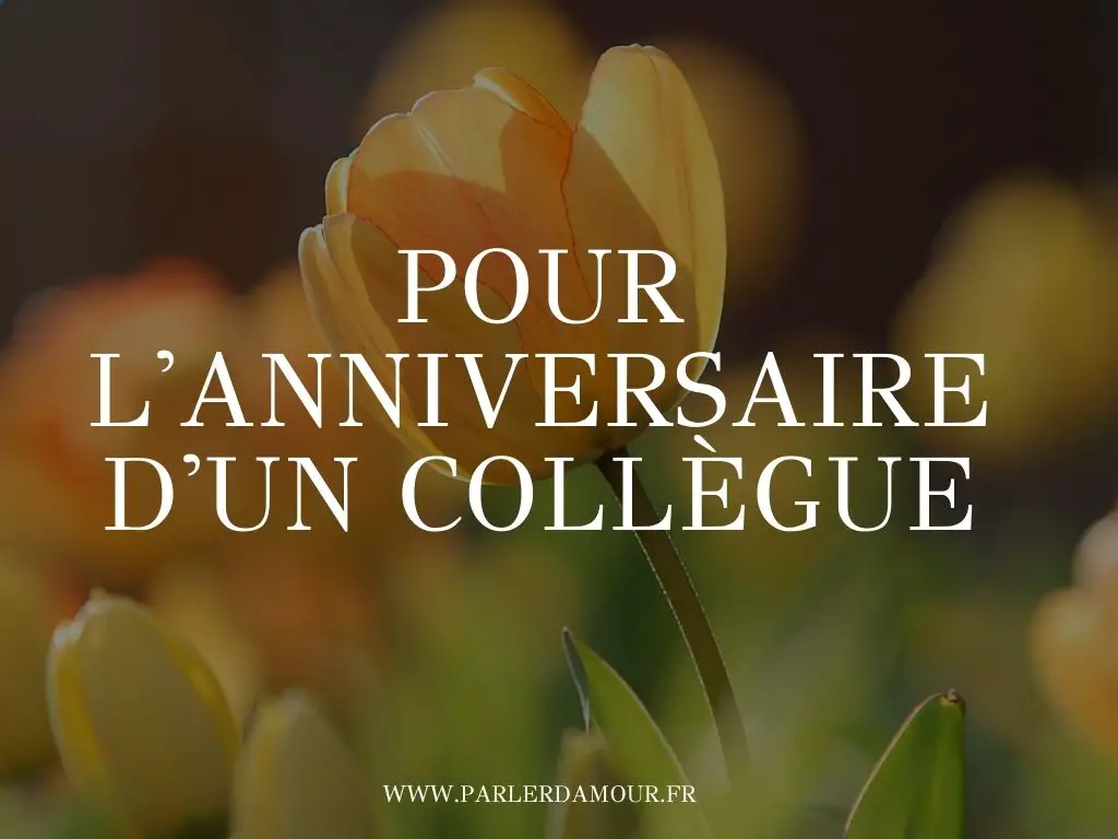 joyeux anniversaire fleurs