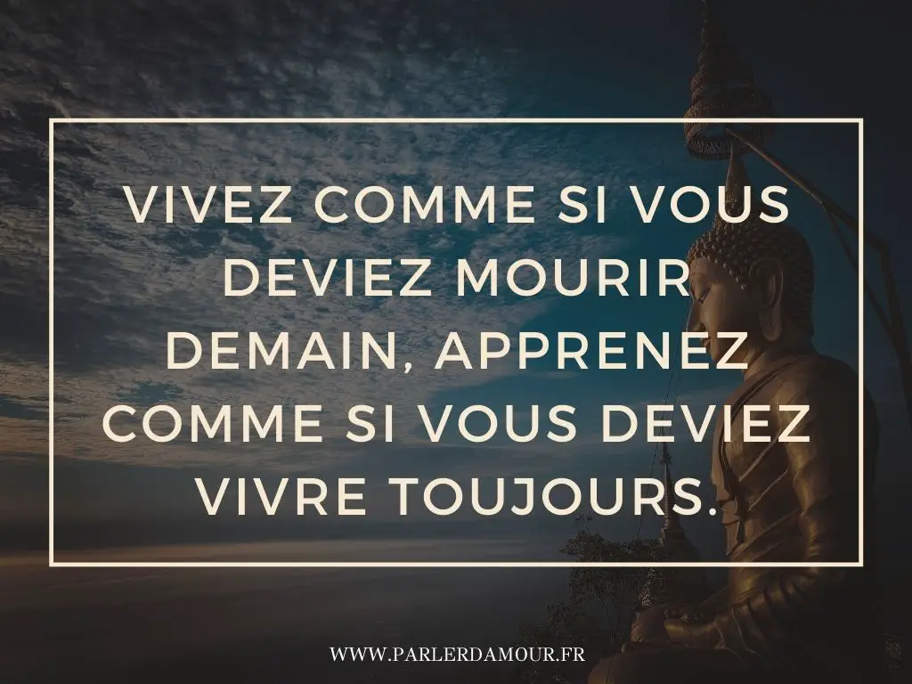 citations bouddha