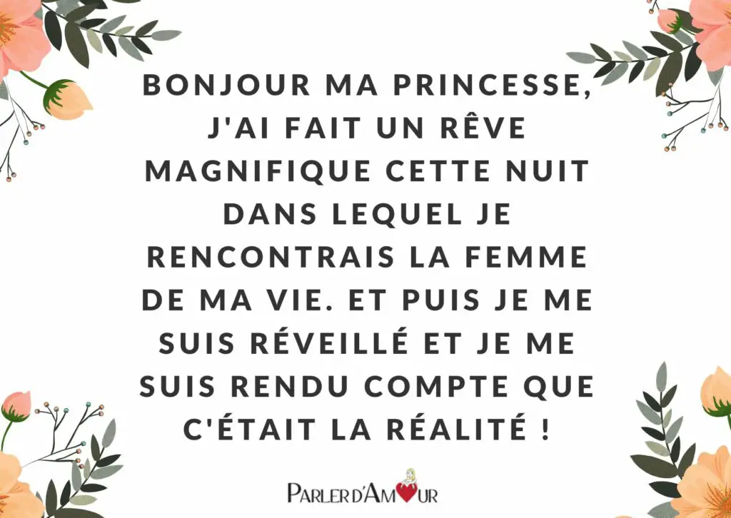 bonjour ma princesse