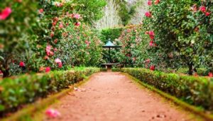 décoration jardin romantique