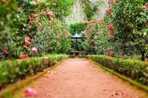 Comment aménager son jardin pour en faire un cocon romantique ?