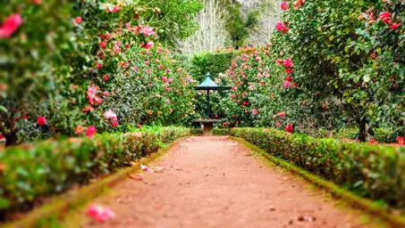 décoration jardin romantique