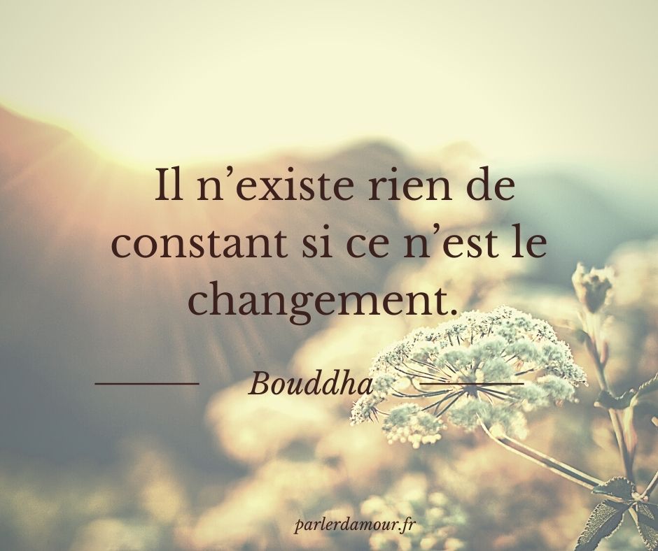 35 Citations A Se Rappeler Quand Rien Ne Va Parler D Amour