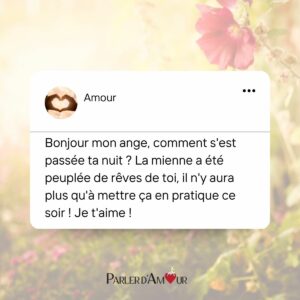 sms bonjour amour