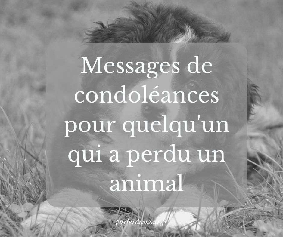 messages de condoléances pour un animal