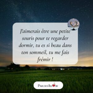 bonne nuit mon amour message