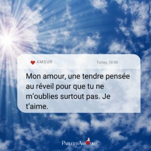 sms court bonne journée à son amoureux