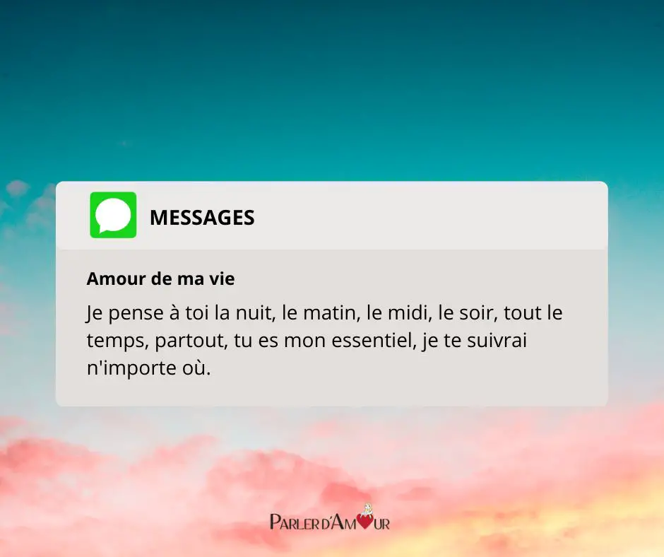 message bonjour mon amour