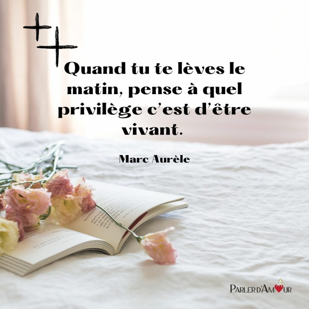 bon lundi citation