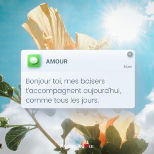 bonne journée mon amour