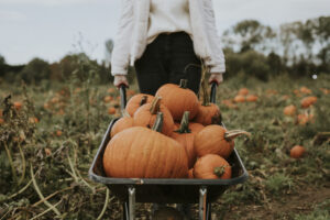 que faire en couple pour halloween citrouille