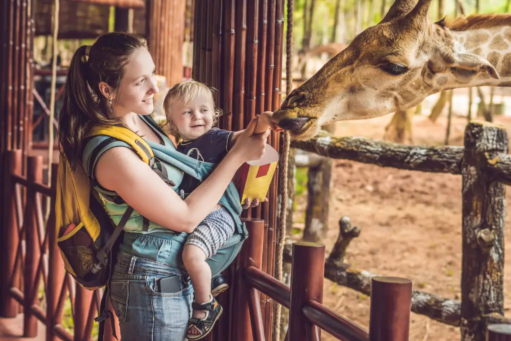 que faire à Lyon avec un bébé de 2 ans